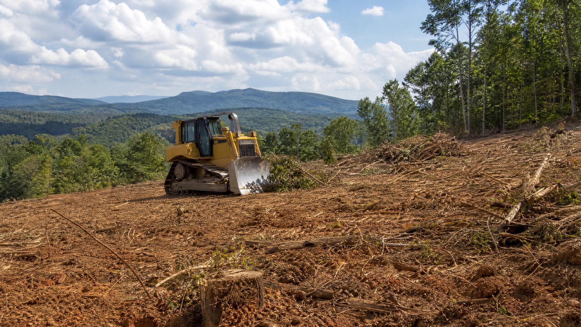 Land Clearing East Tennessee